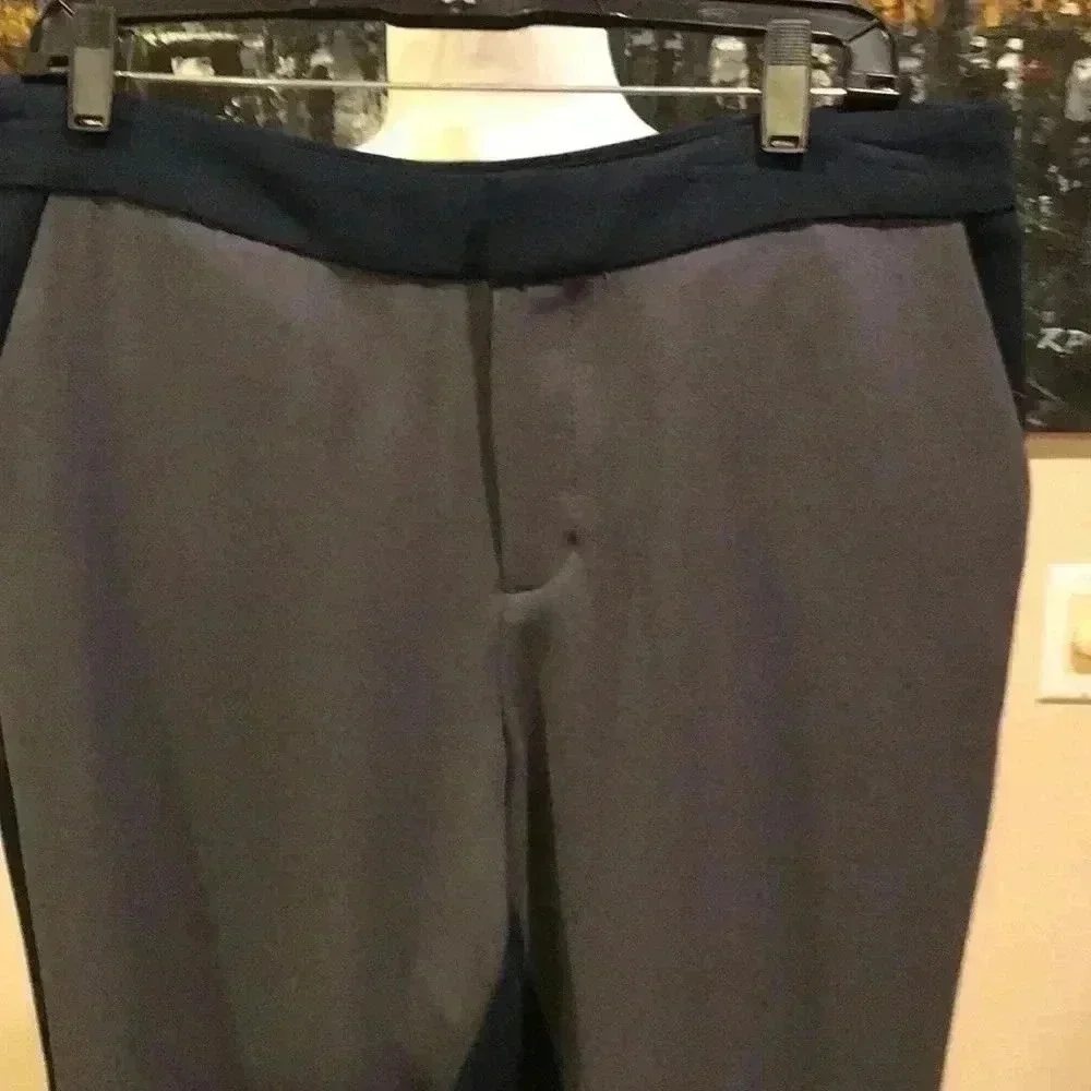 NWOT Banana Republic Blue and Gray Color-block Ankle Trousers-Size 10